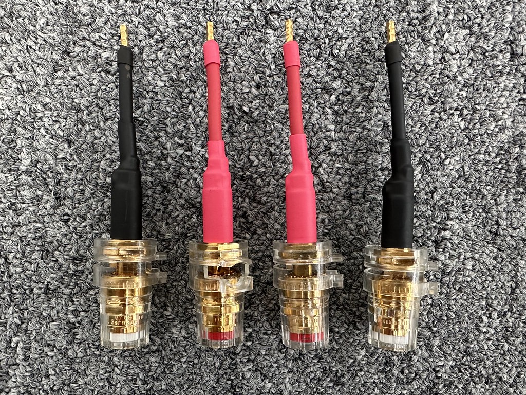 53483863533_13191fa996_b