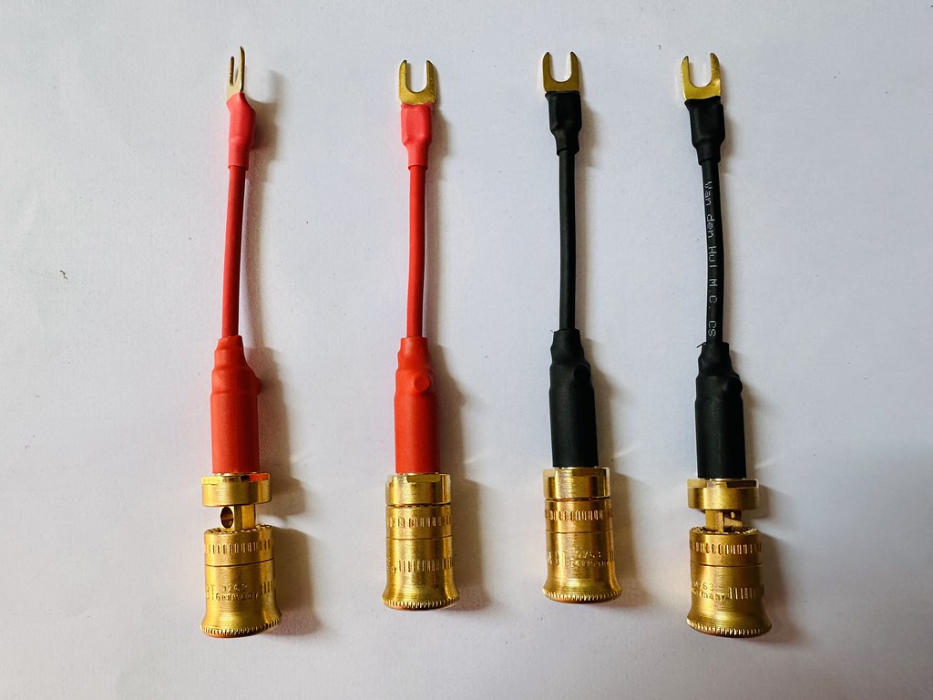 54098965354_2e4b2dc2e4_b