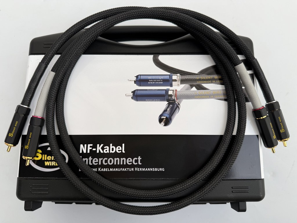 54249914080_5ea793571f_b