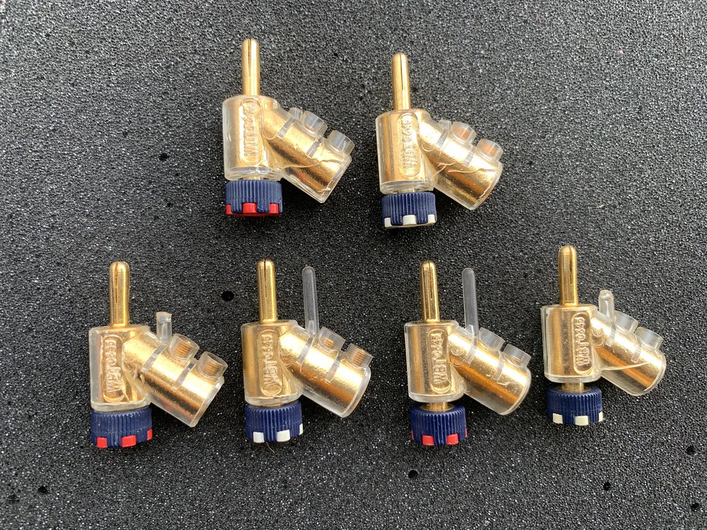 49642584552_d1e220a392_b