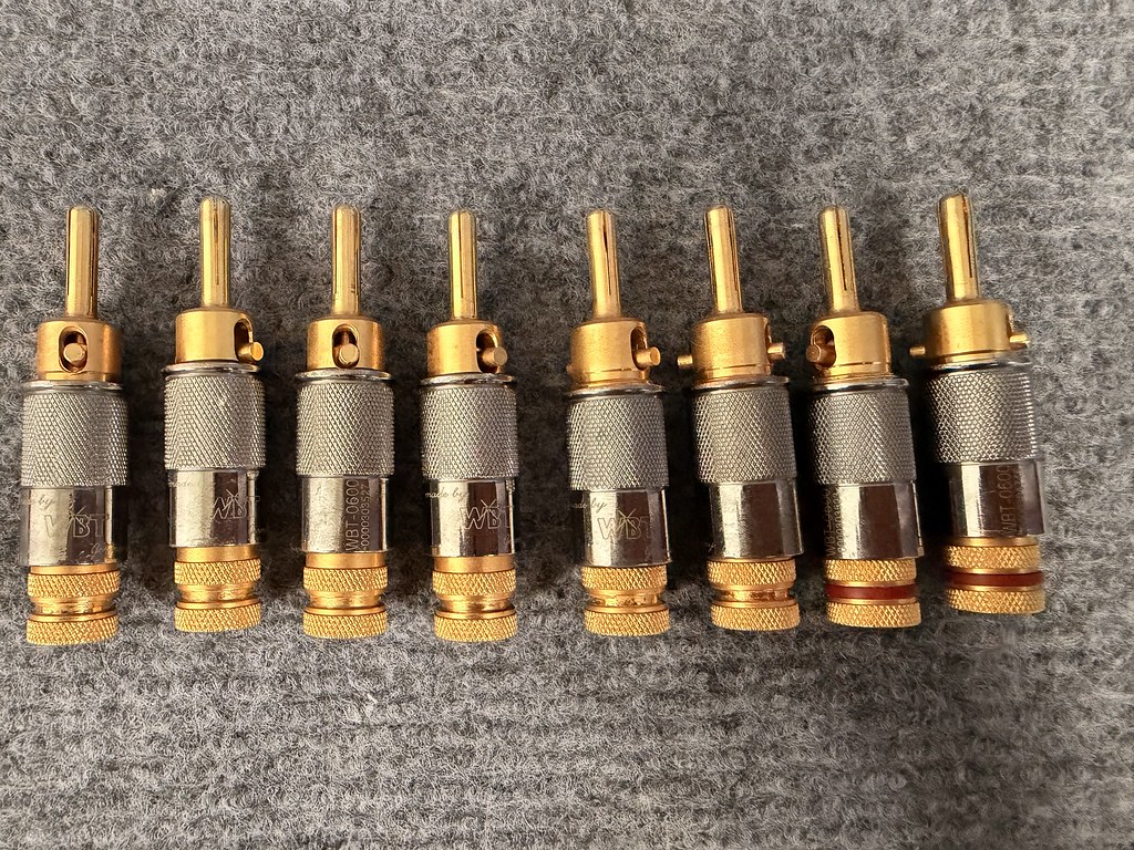 55449515701_e61464bf5b_b